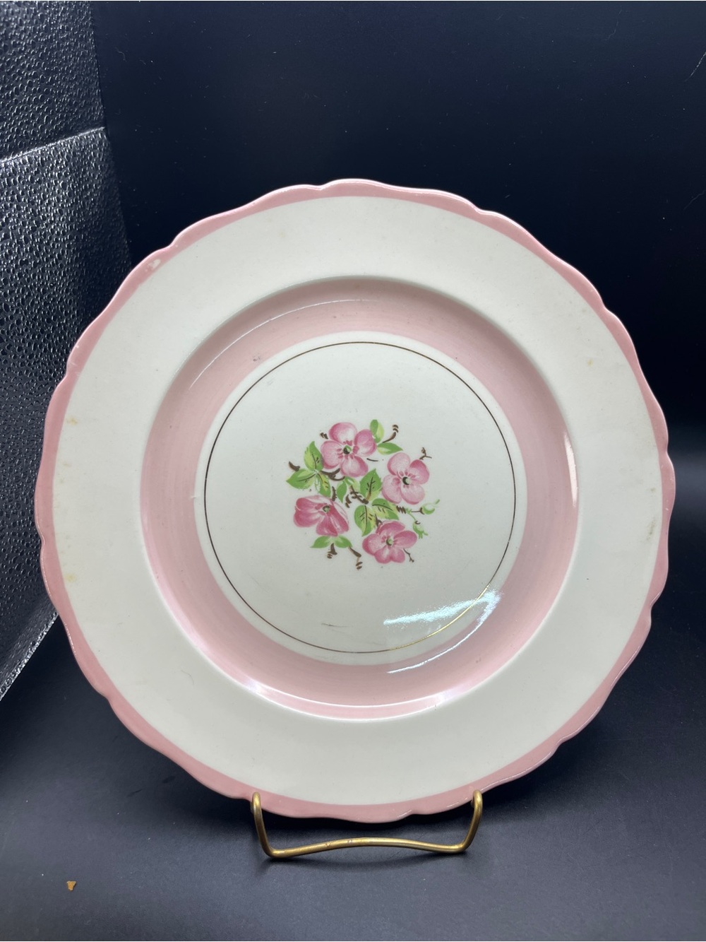 Vintage Canonsburg Pottery Keystone Pink Wild Rose Dogwood 9” Luncheon Plate